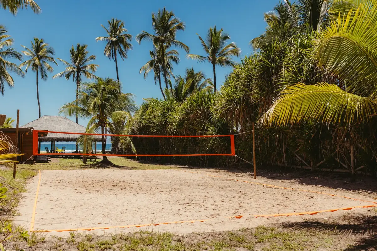 Empty beach volleyball court between palm trees, ready for play